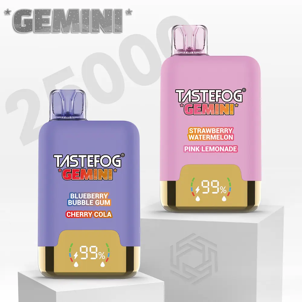 TASTEFOG GEMINI 25.000 Züge Einweg-E-Zigarette – Zwei Geschmacksrichtungen in einer